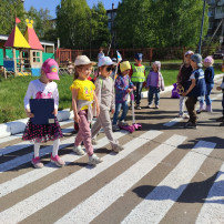Профилактические мероприятия по ПДД Профилактические мероприятия по ПДД.