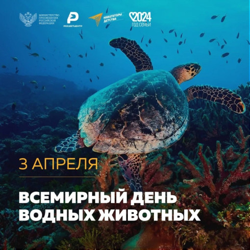 День водных животных День водных животных.